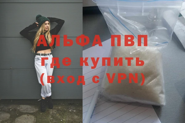 ПСИЛОЦИБИНОВЫЕ ГРИБЫ Гусев