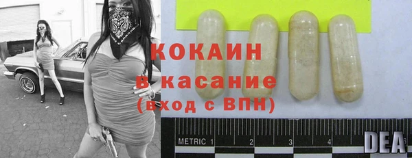 ПСИЛОЦИБИНОВЫЕ ГРИБЫ Гусев