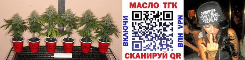 Дистиллят ТГК гашишное масло  Купить  Рошаль 