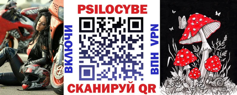 Купить где  Рошаль  Псилоцибиновые грибы мицелий 